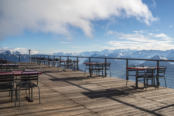 Wholesome Fare Diner